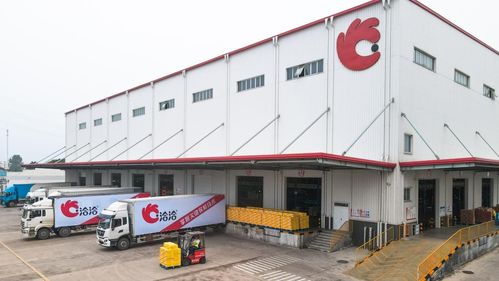 走進洽洽透明工廠,探訪一顆堅果蘊藏的新質(zhì)生產(chǎn)力