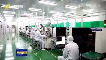 太平洋光電加快光通訊芯片量產步伐，打造5G時代新產業高地